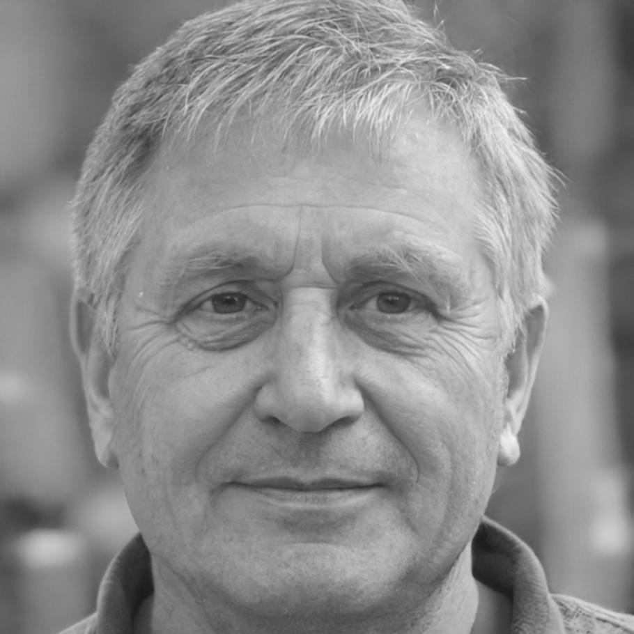 Ritratto professionale di Branimir Novaković